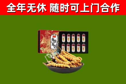 汝城县回收冬虫夏草价格